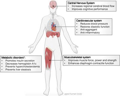 The Nitrate-Nitrite-Nitric Oxide Pathway on Healthy Ageing: A Review of Pre-clinical and Clinical Data on the Impact of Dietary Nitrate in the Elderly